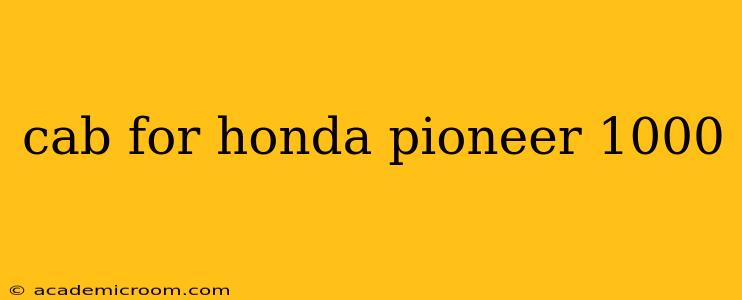 cab for honda pioneer 1000