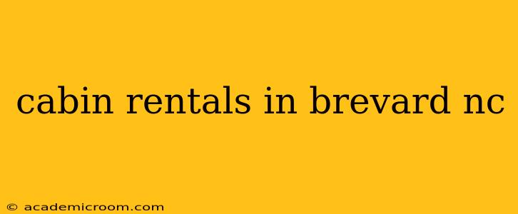 cabin rentals in brevard nc