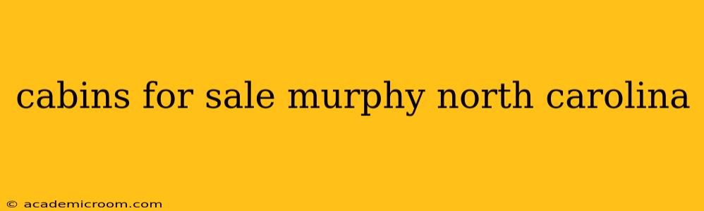 cabins for sale murphy north carolina
