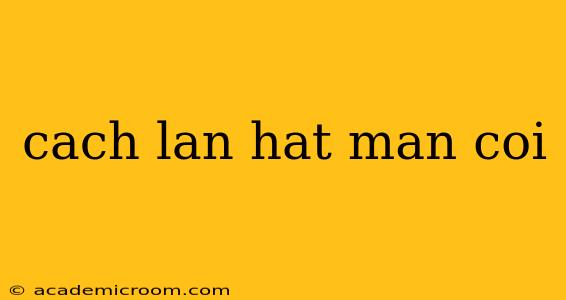 cach lan hat man coi