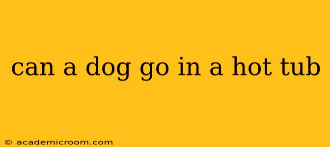 can a dog go in a hot tub