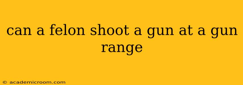 can a felon shoot a gun at a gun range