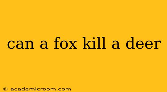 can a fox kill a deer