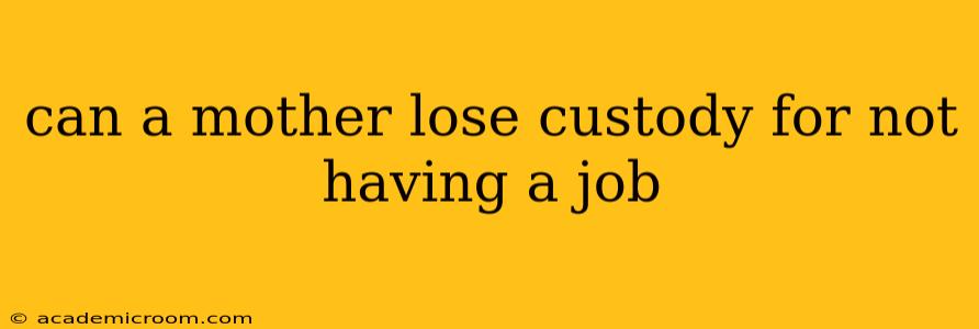 can a mother lose custody for not having a job