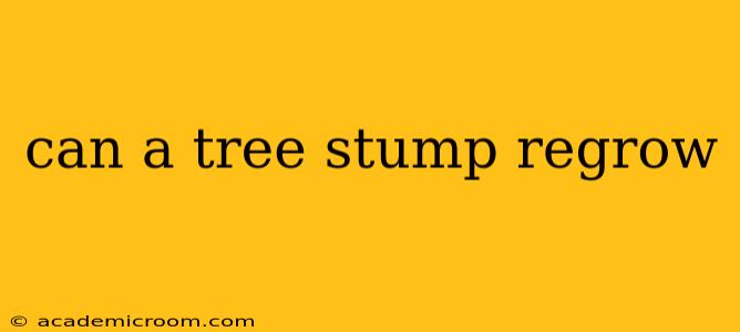 can a tree stump regrow