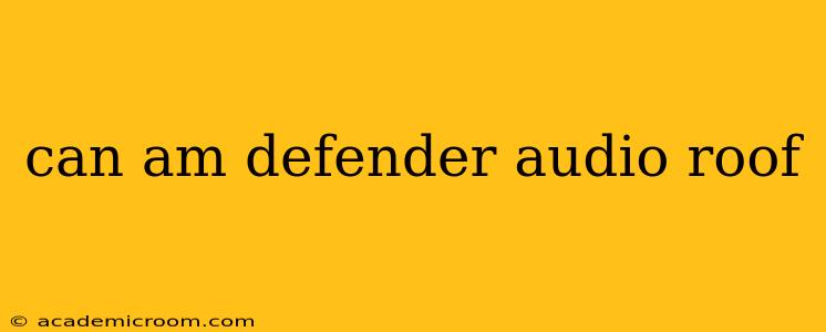 can am defender audio roof