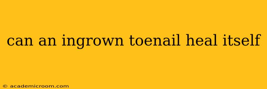 can an ingrown toenail heal itself