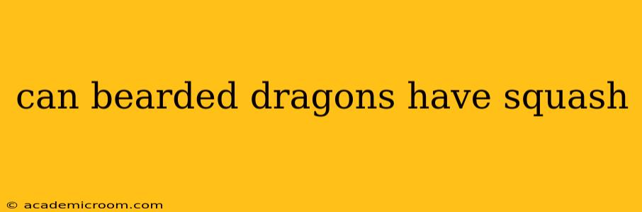 can bearded dragons have squash