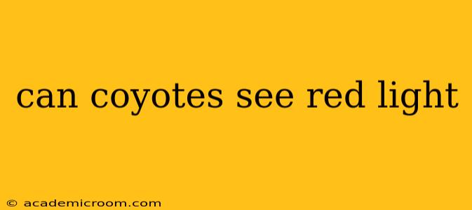 can coyotes see red light