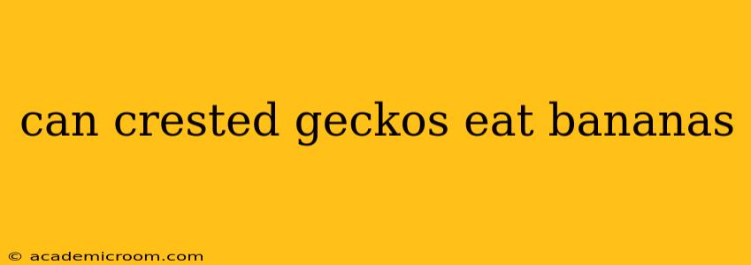 can crested geckos eat bananas