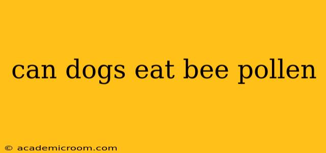 can dogs eat bee pollen