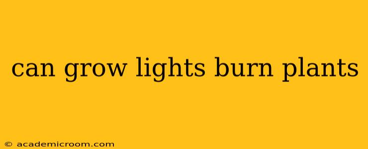 can grow lights burn plants