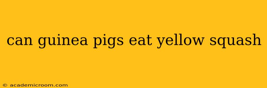 can guinea pigs eat yellow squash