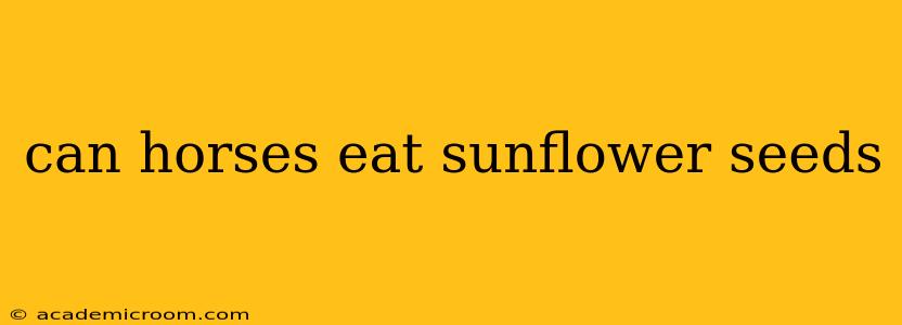 can horses eat sunflower seeds