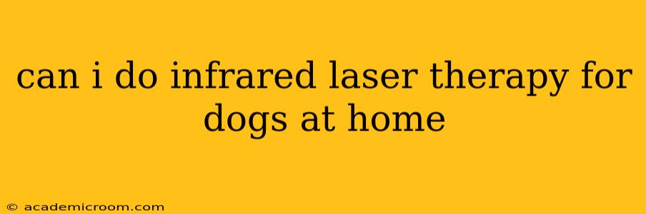 can i do infrared laser therapy for dogs at home