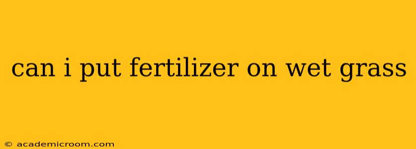 can i put fertilizer on wet grass