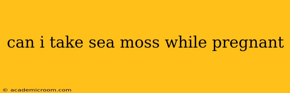 can i take sea moss while pregnant