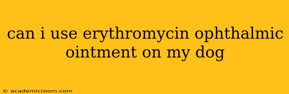 can i use erythromycin ophthalmic ointment on my dog