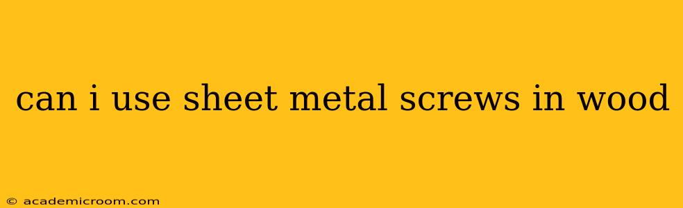 can i use sheet metal screws in wood