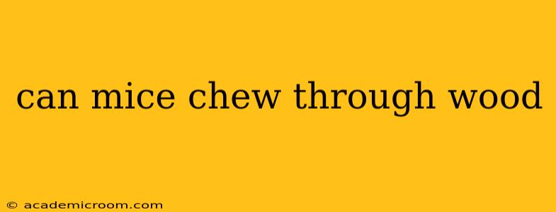 can mice chew through wood