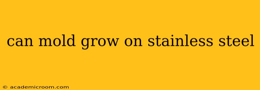 can mold grow on stainless steel