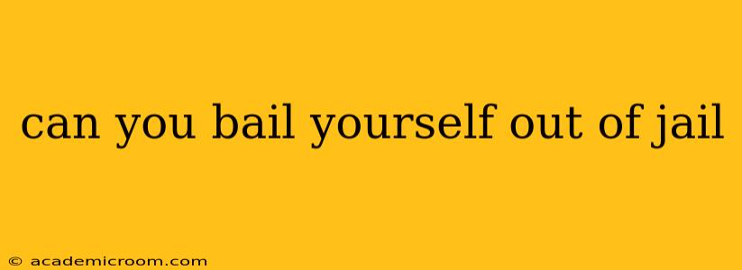 can you bail yourself out of jail
