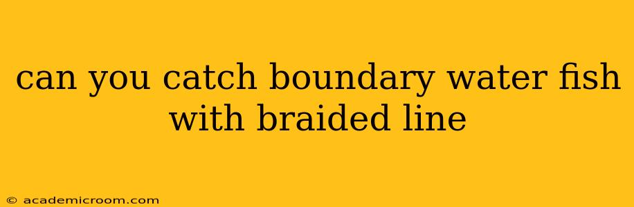 can you catch boundary water fish with braided line
