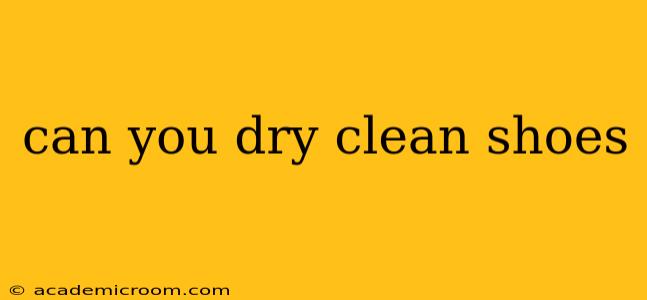can you dry clean shoes