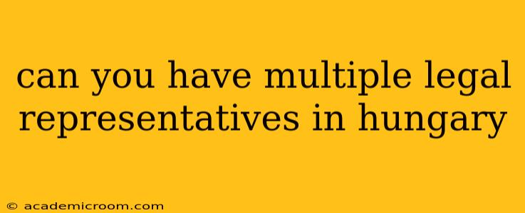 can you have multiple legal representatives in hungary