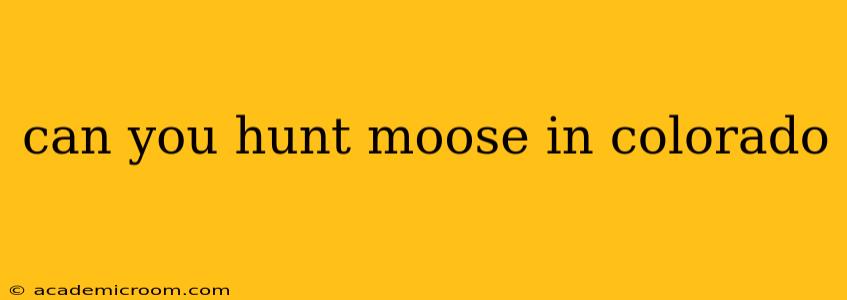 can you hunt moose in colorado