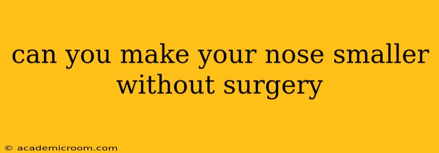 can you make your nose smaller without surgery