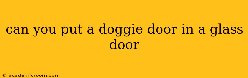 can you put a doggie door in a glass door
