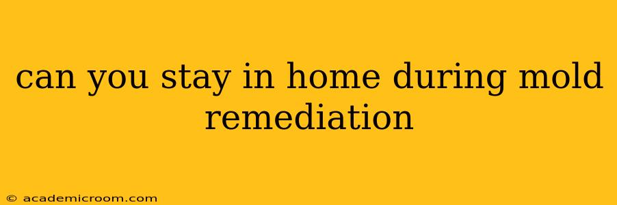 can you stay in home during mold remediation
