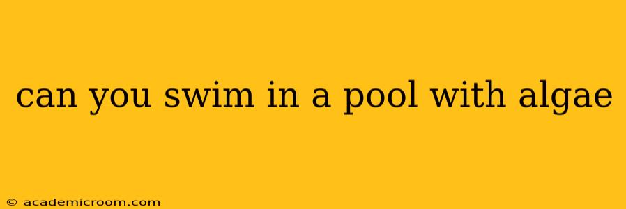 can you swim in a pool with algae