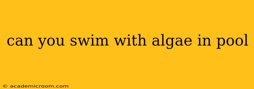 can you swim with algae in pool