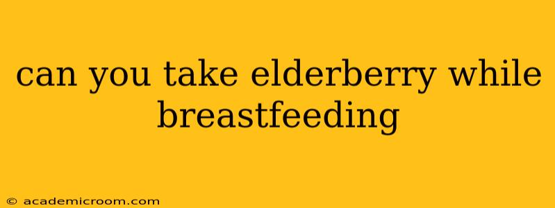 can you take elderberry while breastfeeding