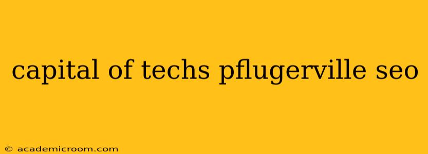 capital of techs pflugerville seo