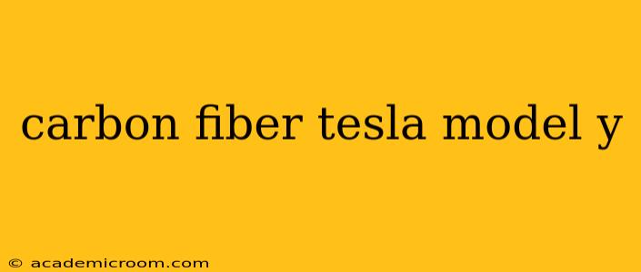 carbon fiber tesla model y