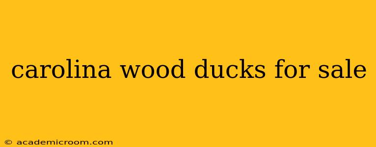 carolina wood ducks for sale