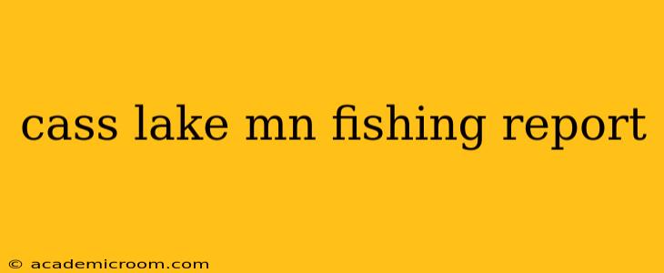 cass lake mn fishing report