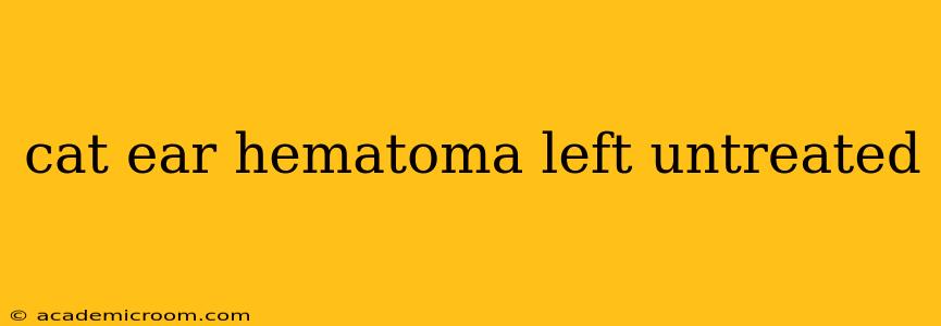 cat ear hematoma left untreated