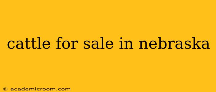 cattle for sale in nebraska