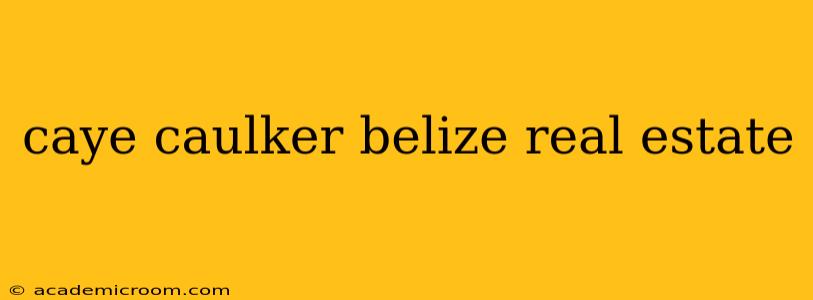 caye caulker belize real estate