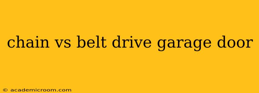 chain vs belt drive garage door