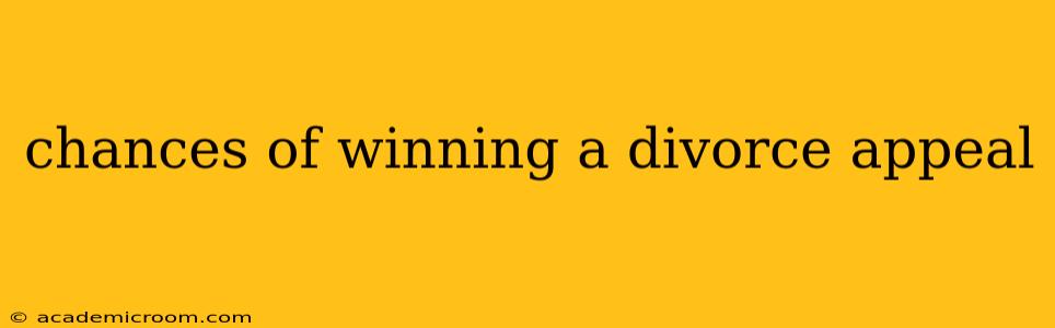 chances of winning a divorce appeal