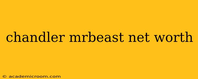 chandler mrbeast net worth
