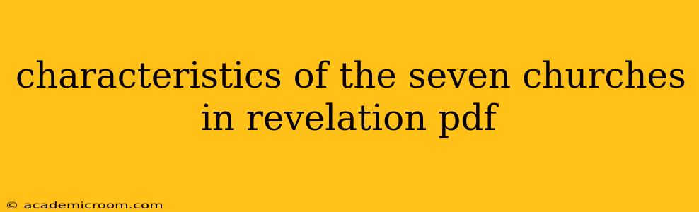 characteristics of the seven churches in revelation pdf
