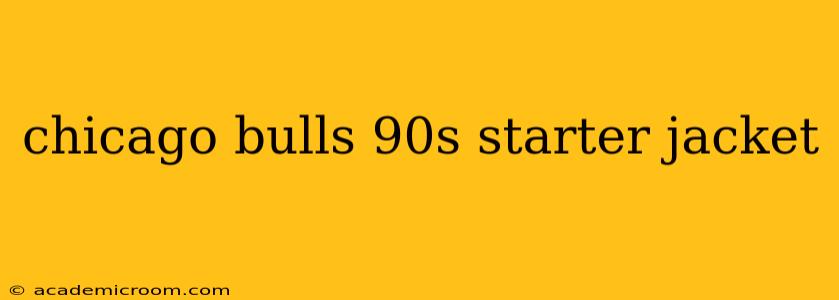 chicago bulls 90s starter jacket