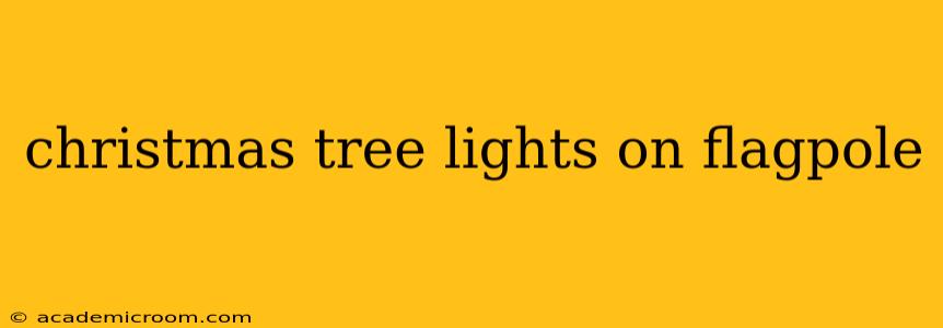 christmas tree lights on flagpole