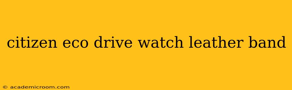 citizen eco drive watch leather band